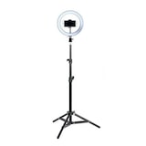 thumbnail of Anillo de luz LED aro para fotografía 26cm + tripode 2,1mts