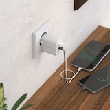 thumbnail of RealPower PC-20 Wall Charger