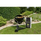 thumbnail of Barbecue Charbon CH041T