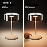thumbnail of Numotion Akku Glasleuchte Sigor Tischleuchte IP 54 dünenbeige 265mm 2,2W FlexMood 2200K/2700K 171lm Ra85 dim