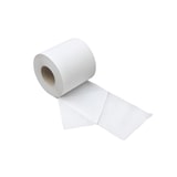 thumbnail of CleanSV© Toilettenpapier 2 lagig, 192 Rollen x 250 Blatt, recyceling