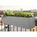 thumbnail of LECHUZA BALCONERA Indoor/Outdoor Topfpflanzer Freistehend Polypropylen (PP) Grau
