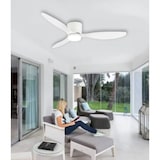 thumbnail of Plafondventilator met verlichting, stille DC-motor, afstandsbediening, wit, Ø 107 cm, instelbare en dimbare lichtkleur