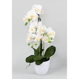 thumbnail of VERT ESPACE plante artificielle phalaenopsis en pot 3 tiges 60 cm