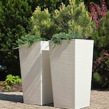 thumbnail of SIENA GARDEN  Nizza Pflanzgefäß Nizza, weiß Rillenoptik, 30x30x57 cm