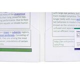 thumbnail of Exacompta - Réf. 3965E - Carton de 2 sachets de 10 chemises double poche polypropylène souple 2/10e - A4 ou A3 - Cristal