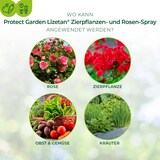 thumbnail of Protect Garden Lizetan Zierpflanzen & Rosenspray  AF 750  ml