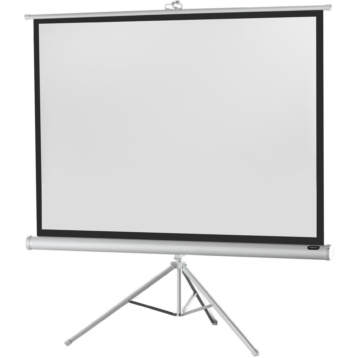 celexon Stativleinwand Economy 244 x 183 cm - White Edition