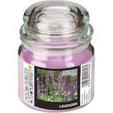 thumbnail of PAPSTAR, Snoeppot met waxvulling "Flavour by GALA", MAXI Ø 90 mm · 120 mm violet - Lavendel