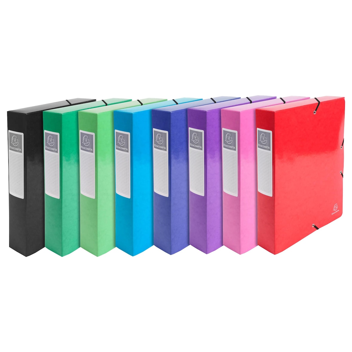 Exacompta Cod. 50629E - Cartella portaprogetti Iderama dorso 60mm, consegnata montata, cartoncino lustré 600 g/mq - 25x33cm assortite - Conf.da  8 pz
