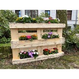 thumbnail of Europaletten Blumenkasten Rot Pflanzkasten zum An- & Einhängen Blumentopf  Rot