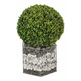 thumbnail of Wilk Gabione Montana M