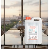 thumbnail of Ambientador con aroma París aroma menta formato 5 litros