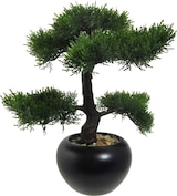 thumbnail of CREATIV green künstliche Pflanze Bonsai Zeder, ca 37cm