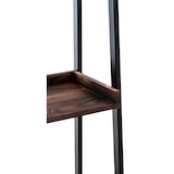 thumbnail of Regal Dahn braun