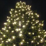 thumbnail of Illu- Party Garten Außenlichterkette 05m 50x E27 kaltweiße Kugellampen
