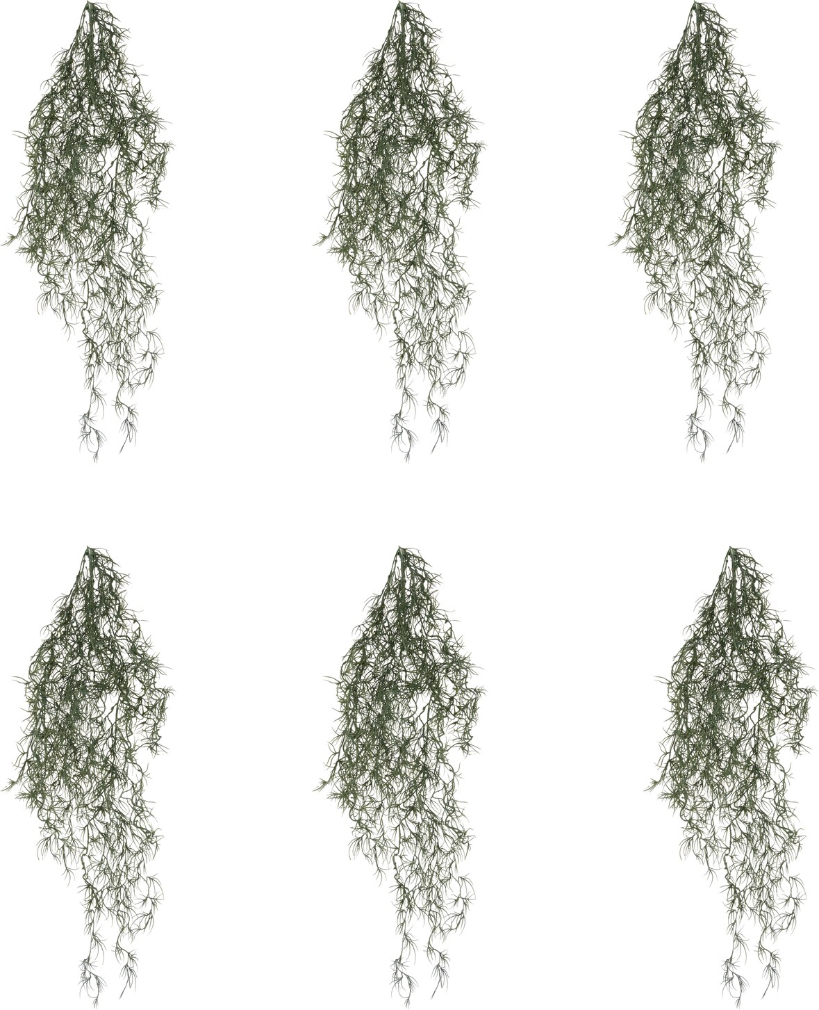 CREATIV green künstliche Pflanze Tillandsia-Hänger Set, graugrün, ca. 80 cm, im 6er Set
