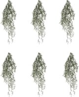 thumbnail of CREATIV green künstliche Pflanze Tillandsia-Hänger Set, graugrün, ca. 80 cm, im 6er Set