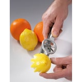 thumbnail of Decor-radis - Westmark