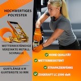 thumbnail of 10x Spanngurte mit Ratsche Zurrgurt 8m 5000kg 5to 2-tlg. 50mm TÜV/GS