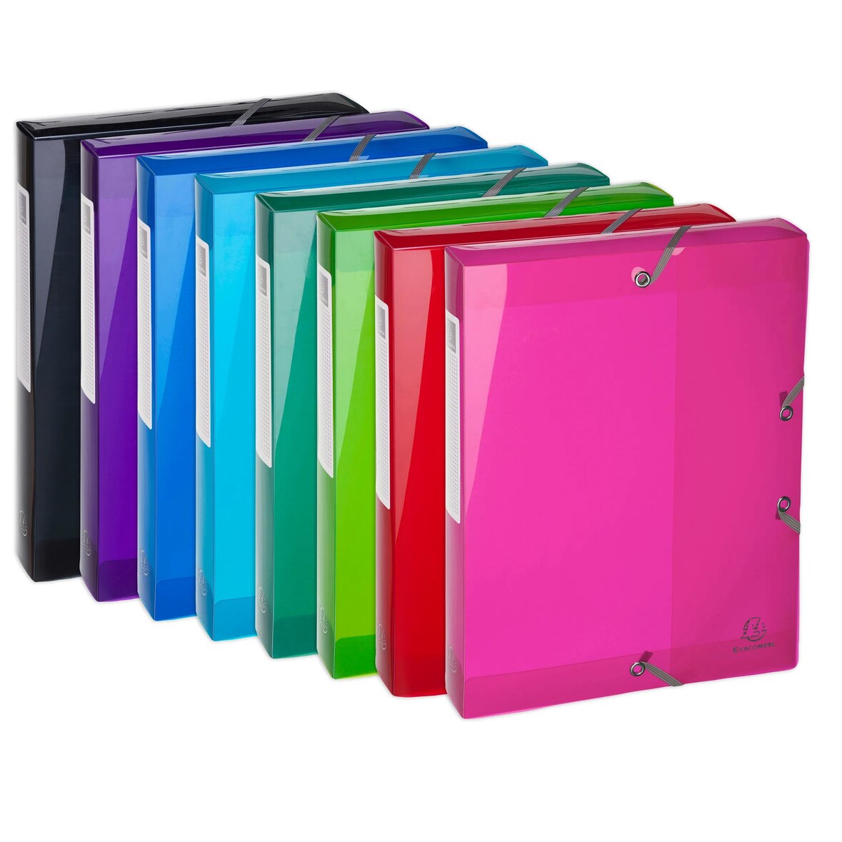 Exacompta - Réf. 59770E - 8 boites de classement en polypropylène Dos 40mm Iderama PP - A4 - Couleurs assorties