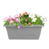 thumbnail of 6x Pflanzkasten `EXTRA LINE` 40x21x17cm Blumenkübel länglich