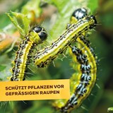 thumbnail of Solabiol Bio Spinnmilben- & Schädlingsfrei AF 500 ml