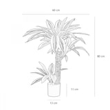 thumbnail of LIGNE DÉCO Dracena artificiel toucher naturel 80cm