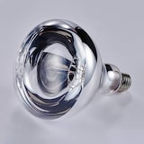 thumbnail of Ampoule pour lampe chauffante référence 692500 - Stalgast