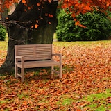 thumbnail of Gartenbank Teakbank DAGAD - Holz Teak 120x59x92 cm | Holzbank 120 Cm Gartenbank Sitzbank Mit Lehne Wetterfest Bank Garten Terrasse