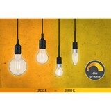 thumbnail of Paulmann Filament 230 V LED Globe G95 E27  806lm 7W Dim to warm dimbaar Helder 28779