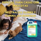 thumbnail of Limpiador quitamanchas para alfombras, sofás y moquetas.