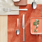 thumbnail of Amefa Moderno Menülöffel