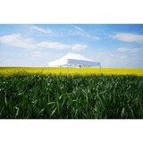 thumbnail of Faltpavillon ALU 3x4,5m - mit 3 Wänden - Weiß