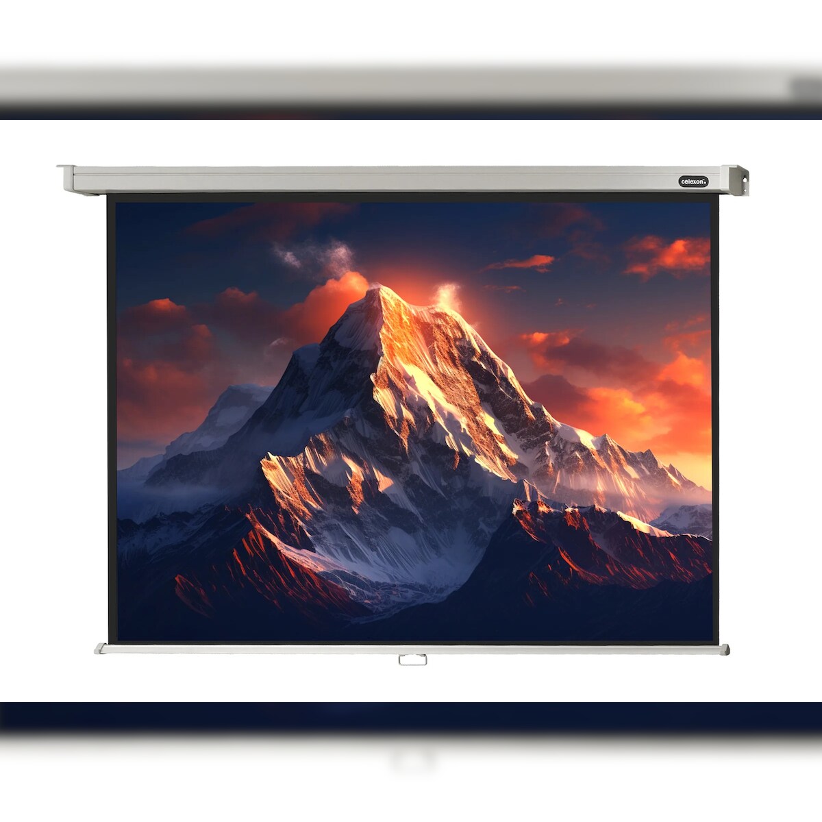 celexon Leinwand Rollo Professional 280 x 210 cm - 138`