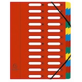 thumbnail of Exacompta - Réf. 5324E - Carton de 4 trieurs HARMONIKA - avec élastiques et fenêtres découpées   - 24 compartiments - A4  - couleurs assorties