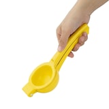 thumbnail of Presse-citrons verts manuel