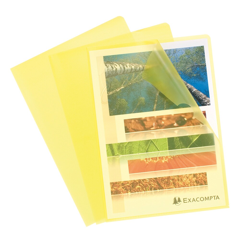 Exacompta Packung mit 10 Aktensichthüllen aus genarbtem PP 120µ, für Format DIN A4
