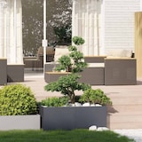 thumbnail of vidaXL Plantenbak 100x100x40 cm staal antracietkleurig
