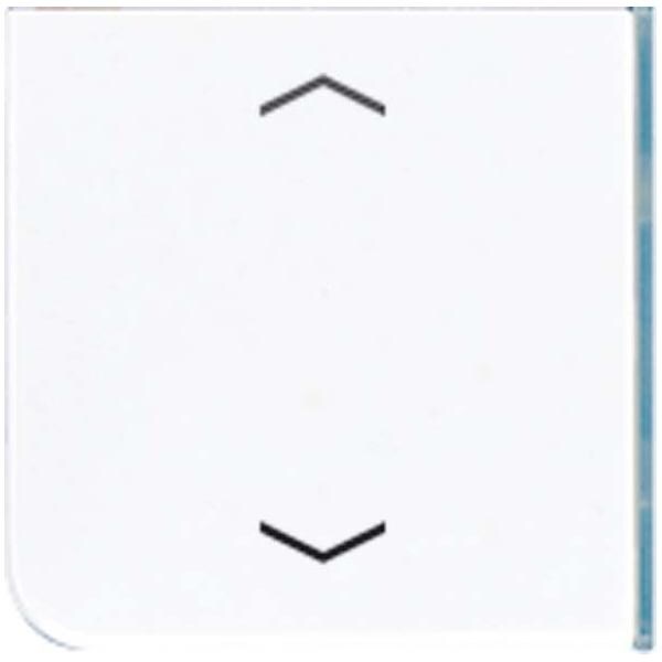 Jung Taste 4-fach aws CD 404 TSAP WW 23 CD404TSAPWW23