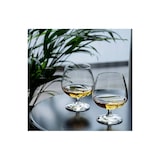 thumbnail of Bormioli Rocco set van 6 cognacglazen Riserva, glas, 53 cl