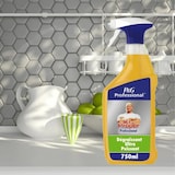thumbnail of Nettoyant ultra dégraissant - 750 mL - MR PROPRE