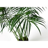 thumbnail of Palmier Areca 200 cm -  Vert  Plastique Lou De Castellane 0.01x0.01 cm