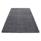 thumbnail of Teppich Hochflor Langflor Uni Kuschelig Waschbar Strapazierfähig Wohnzimmer Schlafzimmer OEKO-TEX Grau 120x170 cm – RHEIN von Kadima Design