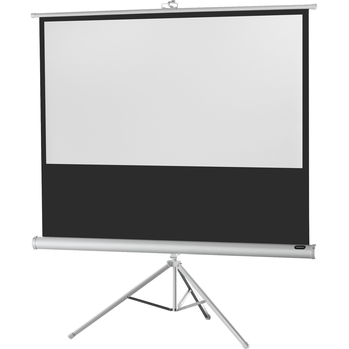 celexon Stativleinwand Economy 158 x 89 cm - White Edition