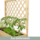 thumbnail of Pflanzkasten mit Rankgitter THIO Inkl. Vlies & Handschuhe, Hochbeet mit Rankhilfe Blumenkasten für Kletterpflanzen hängende Körbe, 98cm Breit