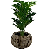 thumbnail of Esfera de Maceta Seca de Ratán - ø 45 x 34 cm - Jardinera Redonda - Macetas de Interior - Cestas para Plantas - Soporte para Plantas - Gris