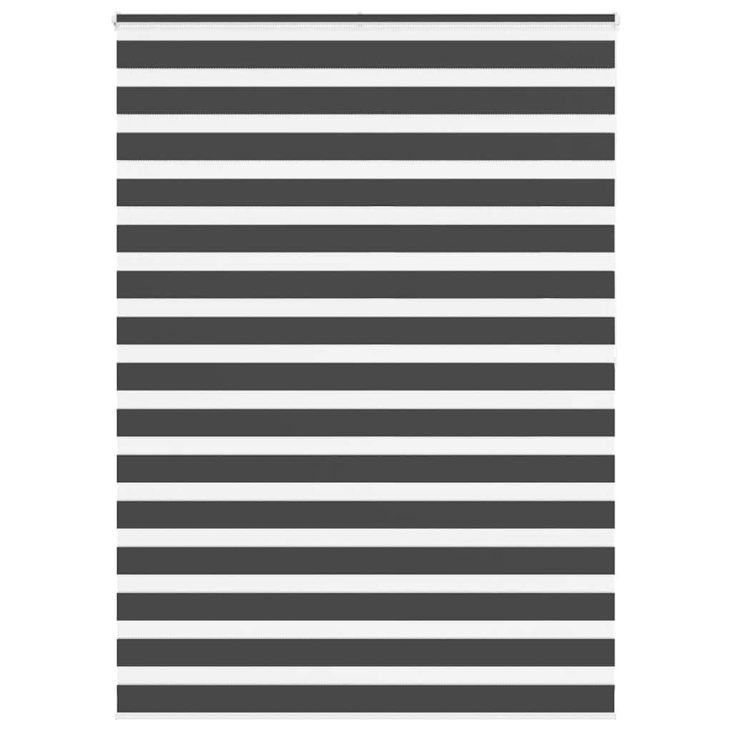 vidaXL Doppelrollo Schwarz 160x200 cm Stoffbreite 155,9 cm Polyester