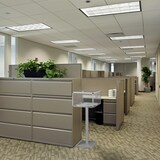 thumbnail of Urne electorale sans compteur sur pied