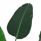 thumbnail of Outsunny Planta Artificial de Decoração Planta Palmeira Artificial com Vaso 10 Folhas para Exterior e Interior Ø18x180cm Verde